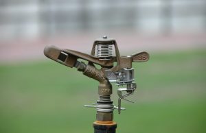 Rainbird expands into research areas to support vulnerable banking customers Rainbird expands into research areas to support vulnerable banking customers